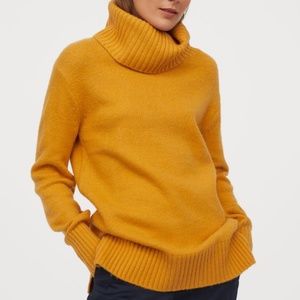 Knit Turtleneck Sweater